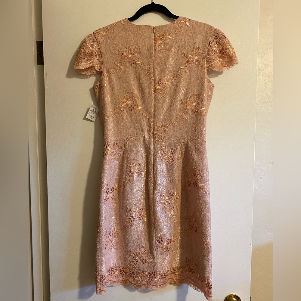 Dress the Population Pink Lace Mini Dress - Picture 4 of 7